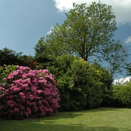 Bed & Breakfast Ferme Du Banoyard
