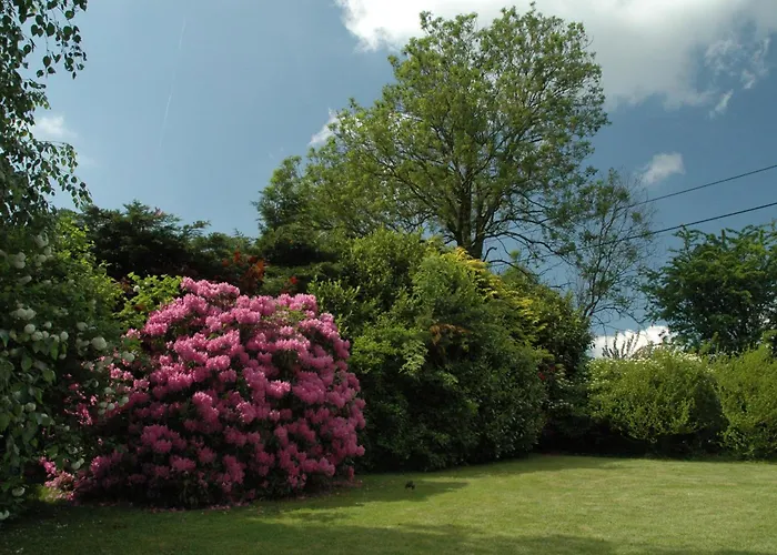 Bed & Breakfast Ferme Du Banoyard