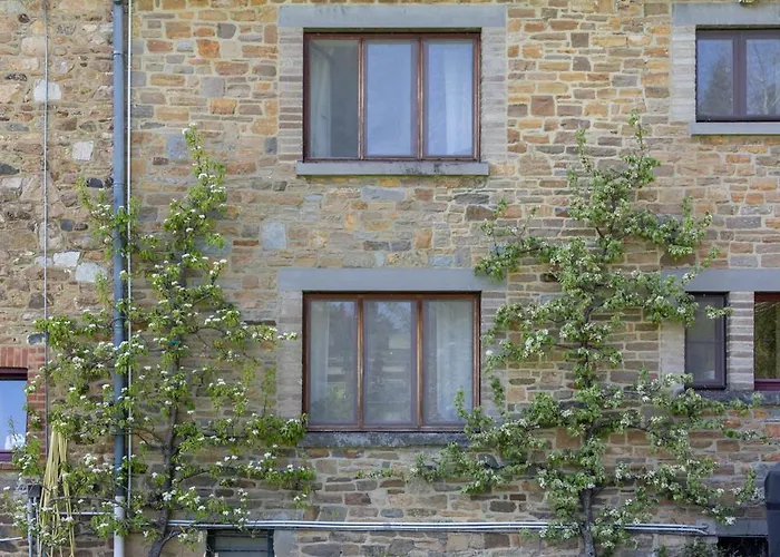 Ferme Du Banoyard Bed & Breakfast