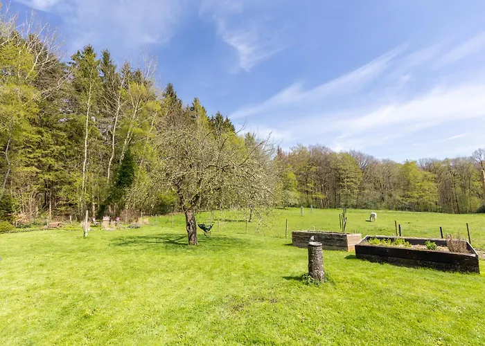 Bed & Breakfast Ferme Du Banoyard *